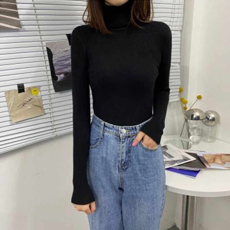 Fein gestrickter Rollkragenpullover | Colosy