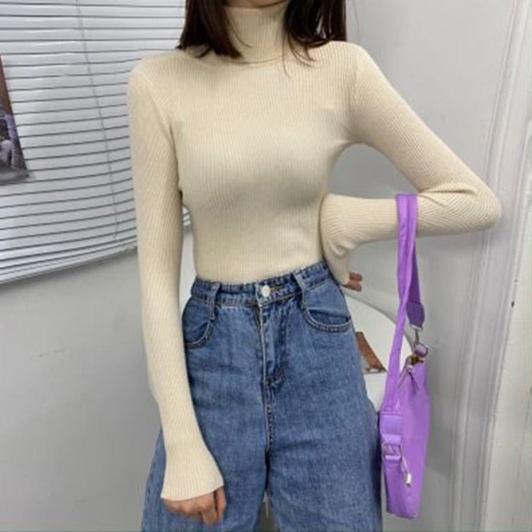 Fein gestrickter Rollkragenpullover | Colosy